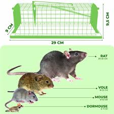 Djurvänlig Råttfälla 30 cm - Levande & Återanvändbar