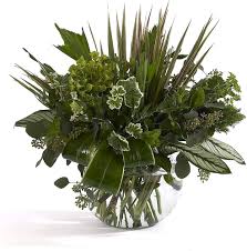 Blomsterkit: Rosskålar (6 st) med blomguide