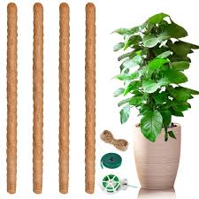 Anezus 4-pack Inomhus Spaljé Moss Stödpinnar 64 cm