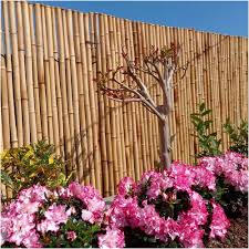 Bambustaket för Trädgården - Miljövänlig Lamellskärm