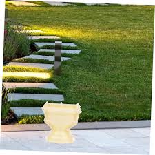 Romersk Cementblomkruka - Sosoport