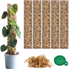 Växtstöd för Monstera - Mosspåle och Trellis Set