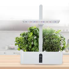 Mini Hydroponiskt Odlingssystem för Inomhusplantering